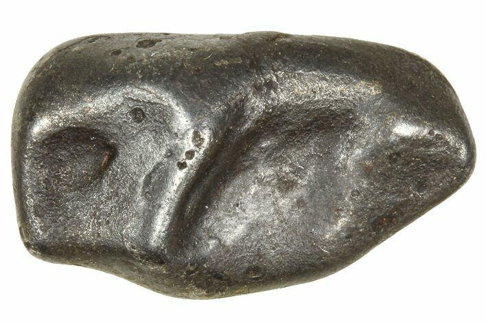 Fusion Crusted Sikhote-Alin Iron Meteorite ( g) - Russia #375332